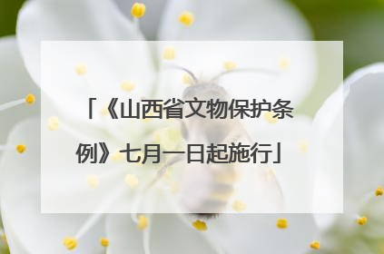 《山西省文物保护条例》七月一日起施行