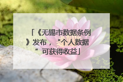 《无锡市数据条例》发布，“个人数据”可获得收益