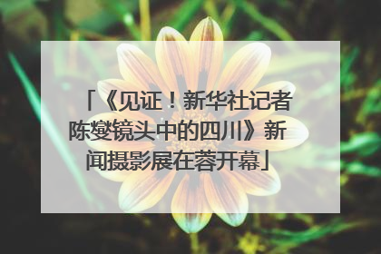 《见证！新华社记者陈燮镜头中的四川》新闻摄影展在蓉开幕