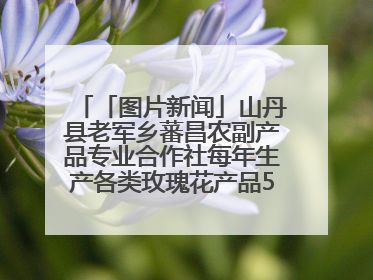 「图片新闻」山丹县老军乡蕃昌农副产品专业合作社每年生产各类玫瑰花产品500多吨