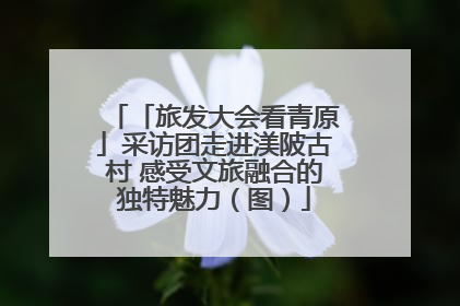 「旅发大会看青原」采访团走进渼陂古村 感受文旅融合的独特魅力（图）