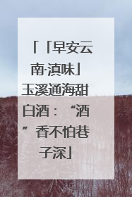 「早安云南·滇味」玉溪通海甜白酒：“酒”香不怕巷子深