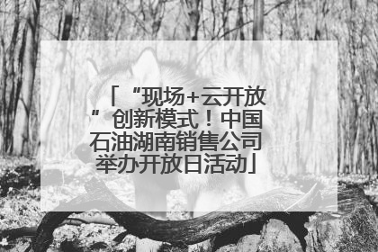 “现场+云开放”创新模式！中国石油湖南销售公司举办开放日活动