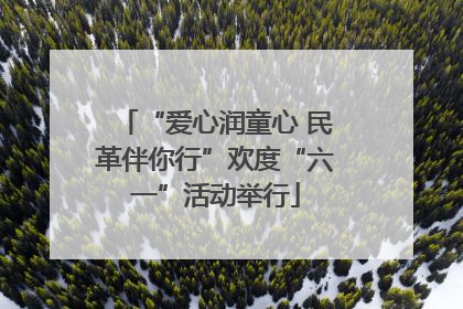 “爱心润童心 民革伴你行”欢度“六一”活动举行