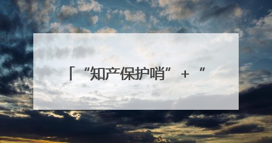 “知产保护哨”+“经盾服务站”=？