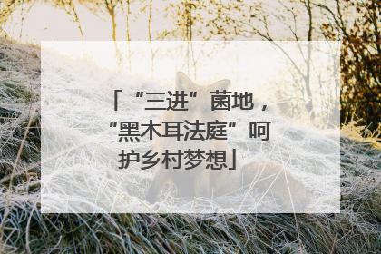 “三进”菌地，“黑木耳法庭”呵护乡村梦想