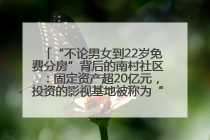 “不论男女到22岁免费分房”背后的南村社区：固定资产超20亿元，投资的影视基地被称为“山村好莱坞”