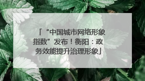 “中国城市网络形象指数”发布！衡阳：政务效能提升治理形象