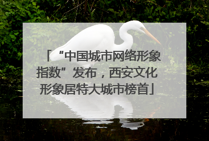 “中国城市网络形象指数”发布，西安文化形象居特大城市榜首