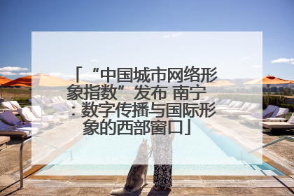“中国城市网络形象指数”发布 南宁：数字传播与国际形象的西部窗口