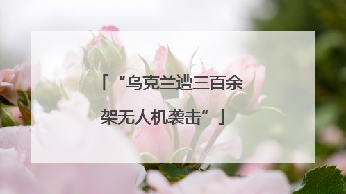 “乌克兰遭三百余架无人机袭击”