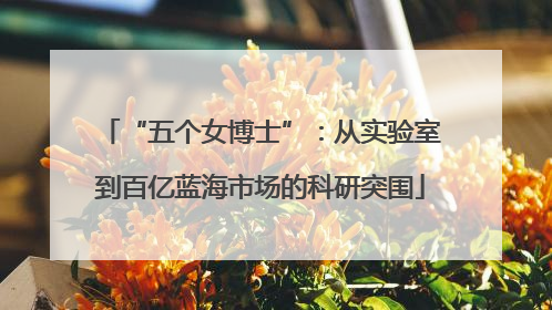 “五个女博士”：从实验室到百亿蓝海市场的科研突围