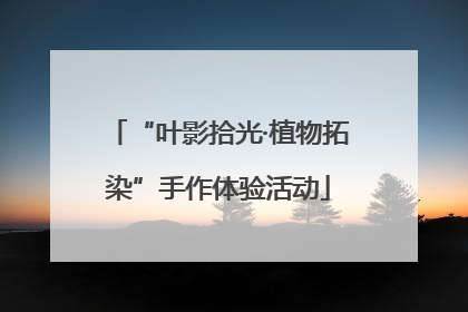 “叶影拾光·植物拓染”手作体验活动