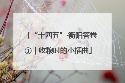 “十四五”·衡阳答卷③｜收粮时的小插曲