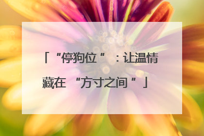 “停狗位 ”：让温情藏在 “方寸之间 ”
