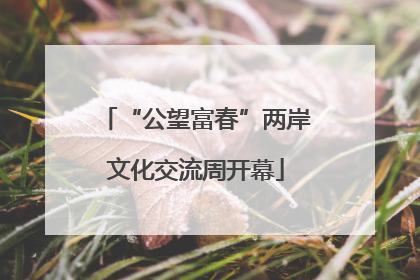 “公望富春”两岸文化交流周开幕
