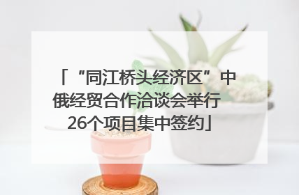 “同江桥头经济区”中俄经贸合作洽谈会举行 26个项目集中签约