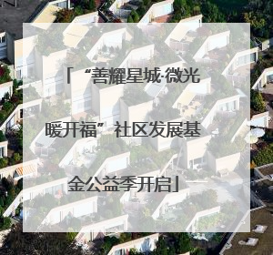 “善耀星城·微光暖开福”社区发展基金公益季开启