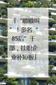 “嗷嗷叫”！多名“85后”干部，挂职企业补短板