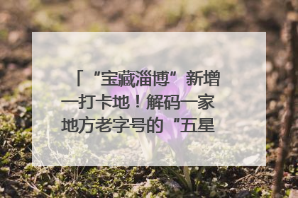 “宝藏淄博”新增一打卡地！解码一家地方老字号的“五星级”破局之路