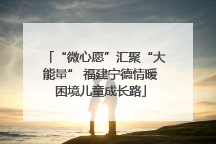 “微心愿”汇聚“大能量” 福建宁德情暖困境儿童成长路