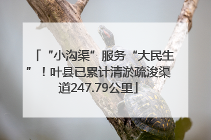 “小沟渠”服务“大民生”！叶县已累计清淤疏浚渠道247.79公里