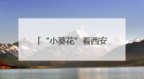 “小葵花”看西安走进丝路欢乐世界