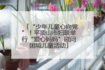 “少年儿童心向党”！平顶山市妇联举行“爱心妈妈”慰问困境儿童活动