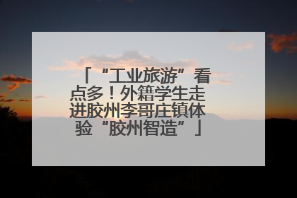 “工业旅游”看点多！外籍学生走进胶州李哥庄镇体验“胶州智造”