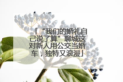 “我们的婚礼自己说了算”聊城这对新人用公交当婚车，独特又浪漫
