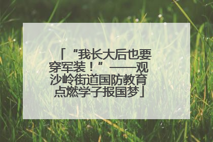 “我长大后也要穿军装！”——观沙岭街道国防教育点燃学子报国梦