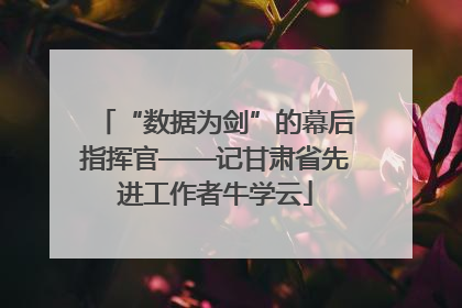 “数据为剑”的幕后指挥官——记甘肃省先进工作者牛学云