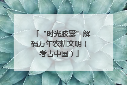 “时光胶囊”解码万年农耕文明（考古中国）