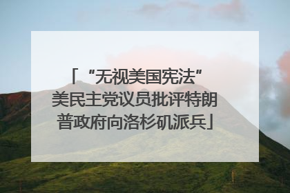 “无视美国宪法” 美民主党议员批评特朗普政府向洛杉矶派兵