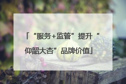 “服务+监管”提升“仰韶大杏”品牌价值