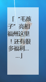“毛孩子”亮相福州这里！还有很多福利……
