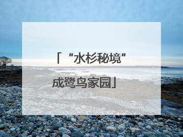“水杉秘境”成鹭鸟家园