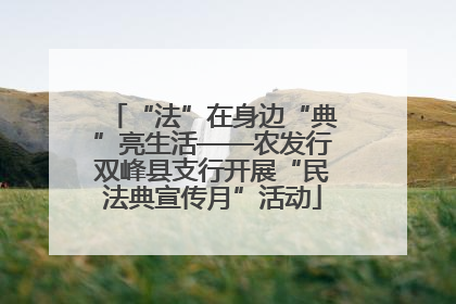 “法”在身边“典”亮生活——农发行双峰县支行开展“民法典宣传月”活动