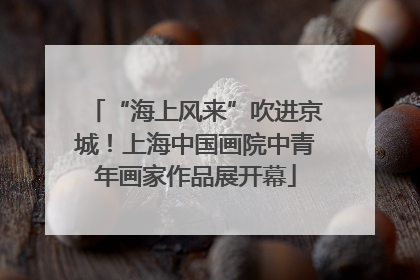“海上风来”吹进京城！上海中国画院中青年画家作品展开幕