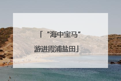 “海中宝马”游进霞浦盐田