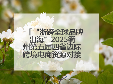 “浙跨全球品牌出海”2025衢州第五届四省边际跨境电商资源对接活动成功举办