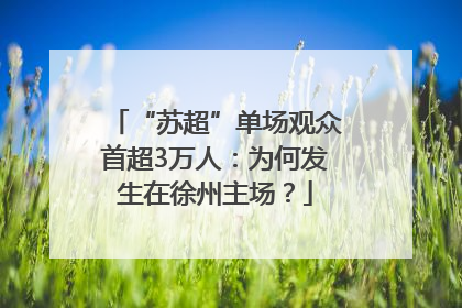 “苏超”单场观众首超3万人：为何发生在徐州主场？