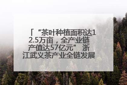 “茶叶种植面积达12.5万亩，全产业链产值达57亿元” 浙江武义茶产业全链发展“加速度”