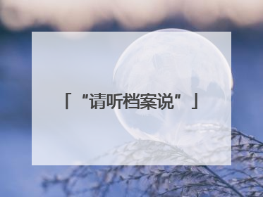 “请听档案说”