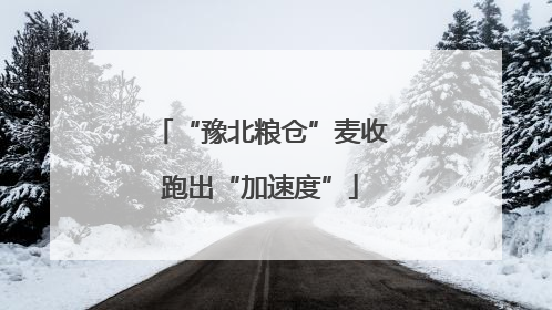 “豫北粮仓”麦收跑出“加速度”