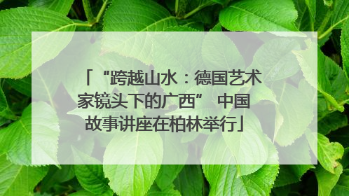 “跨越山水：德国艺术家镜头下的广西” 中国故事讲座在柏林举行