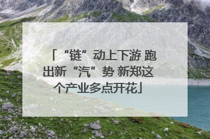 “链”动上下游 跑出新“汽”势 新郑这个产业多点开花
