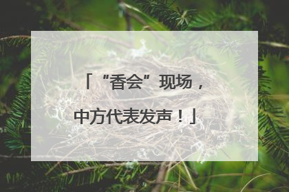 “香会”现场，中方代表发声！
