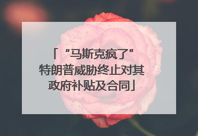 “马斯克疯了” 特朗普威胁终止对其政府补贴及合同