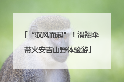 “驭风而起”！滑翔伞带火安吉山野体验游